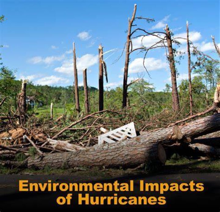 How do hurricanes affect the environment?