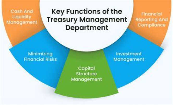 How do you manage treasury functions?