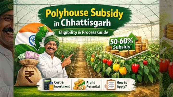 How much is the subsidy for polyhouse?