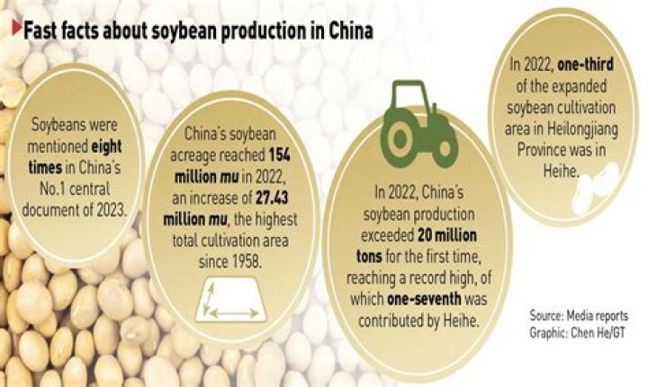 How much money does the soybean industry make?