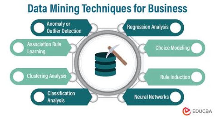 What are some companies that use data mining?