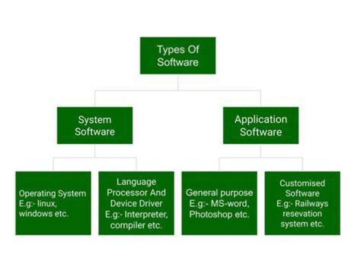 What are the 3 main software types?