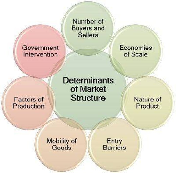 What are the determinants of a market structure?