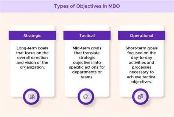 What are the three main objectives of management?