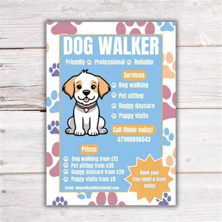 What is a good headline for a dog walker?