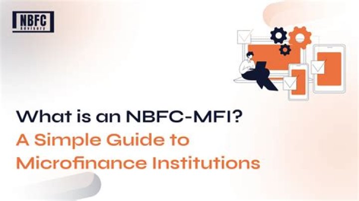 What is a MFI ECB?