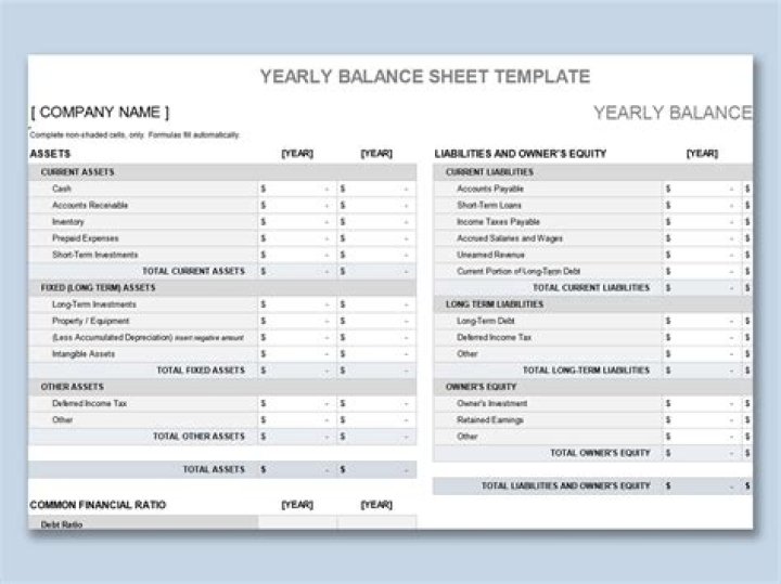 What is a yearly balance sheet?