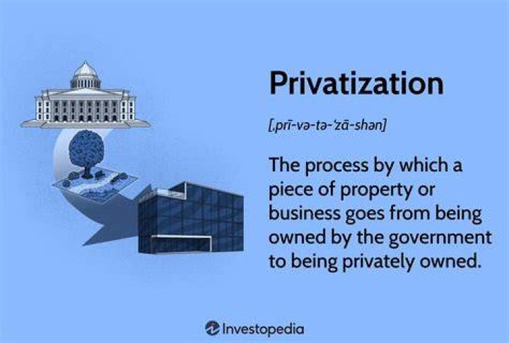 What is government privatization?