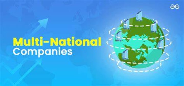 What is meant by multi national company?