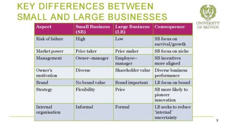 What is the difference between small and large organization?