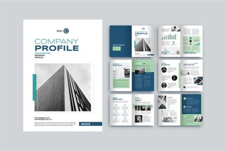 What should a company profile include?
