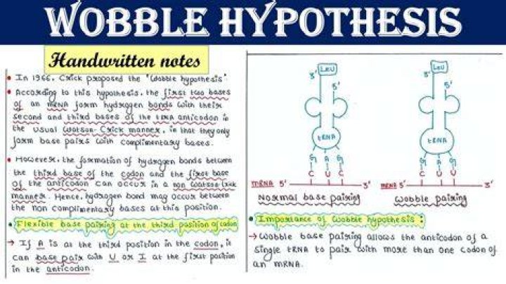 Who propounded the rabble hypothesis?