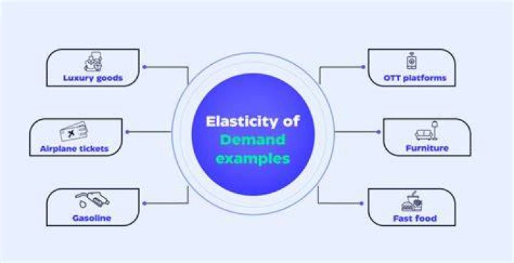 Why are branded goods more elastic?